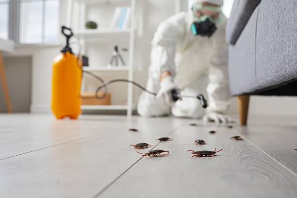 Commercial Kitchen Cockroach Control in South Fallsburg
